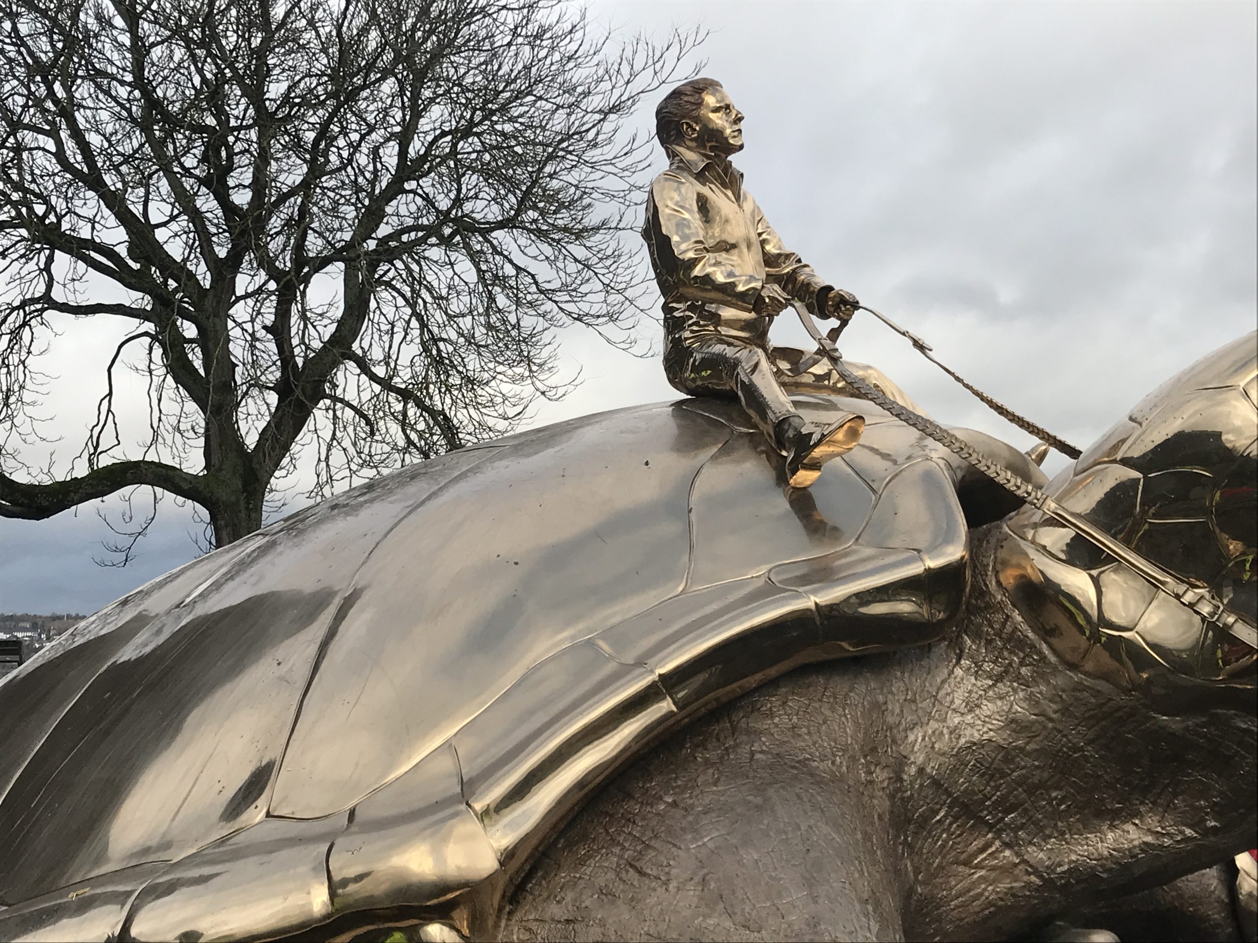 Tortue Jan Fabre Citadelle de Namur