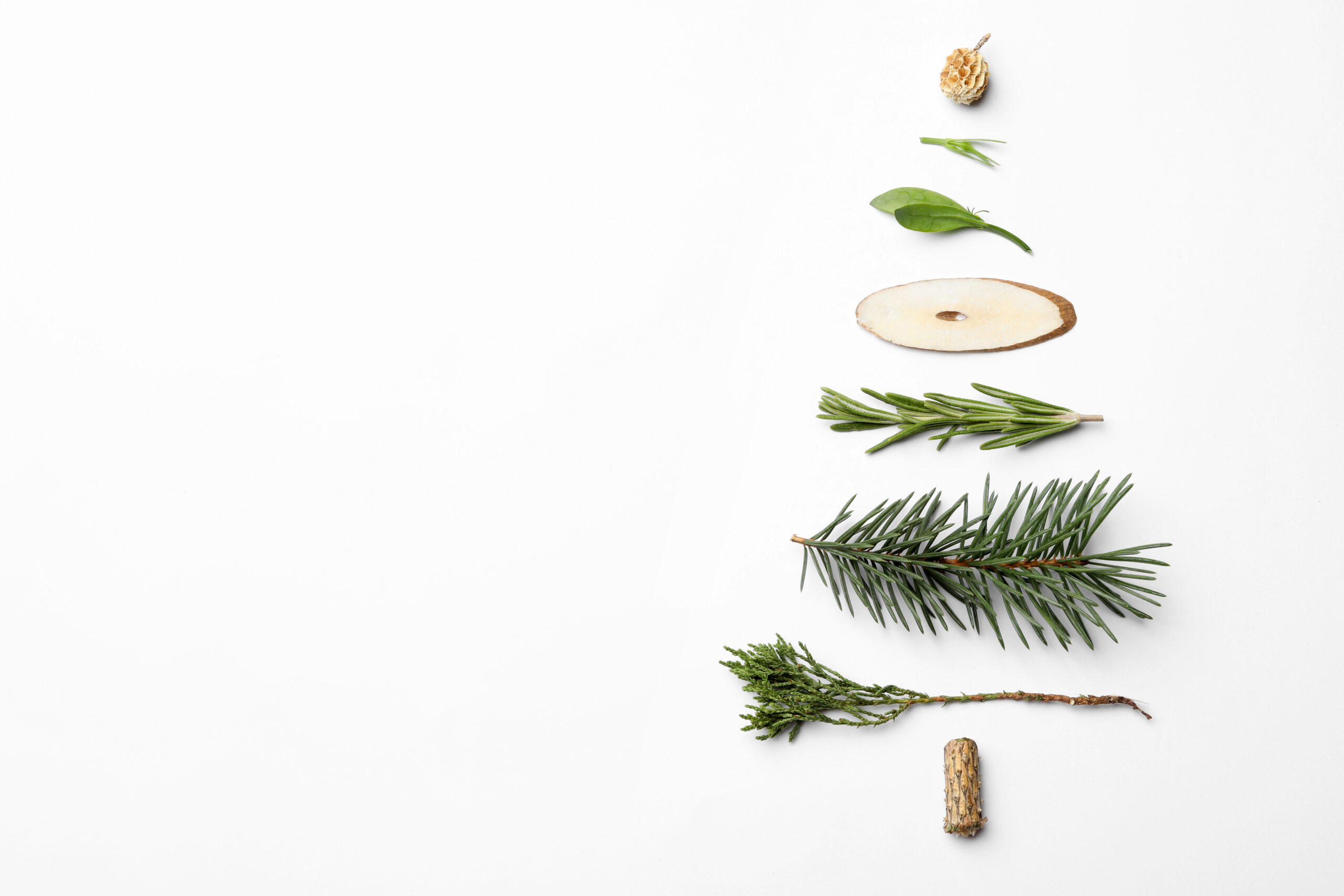 Dernière chance de choisir votre cadeau de fin d’année